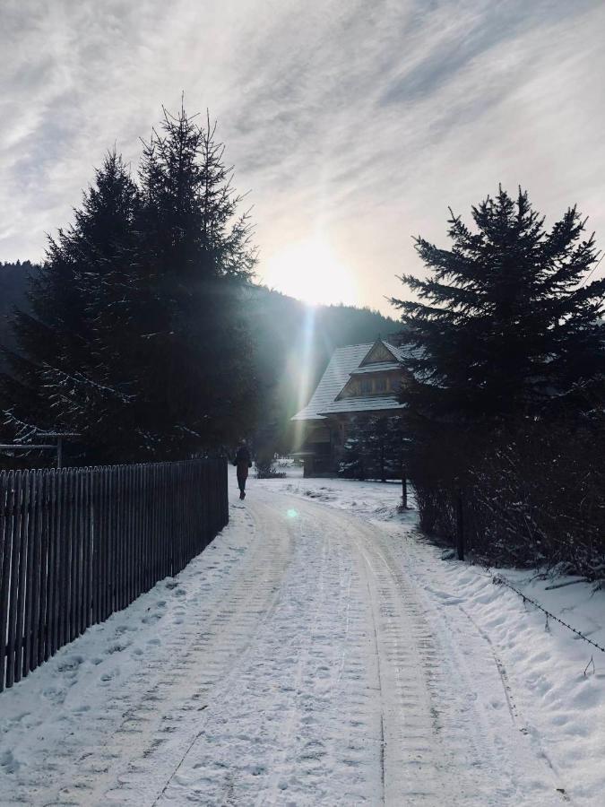 Giewont Mountain View Apartment Zakopane Kültér fotó
